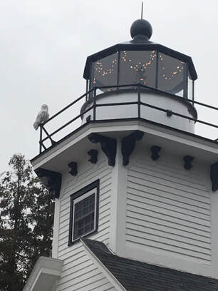 Close up of light house tower with white lights and snowy owl